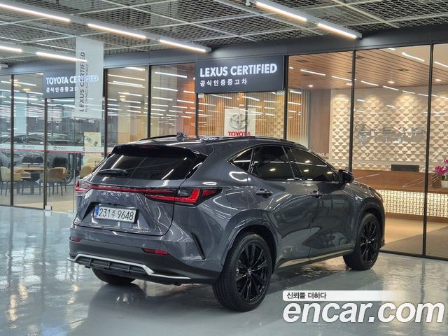 Lexus NX 2025 — photo 2