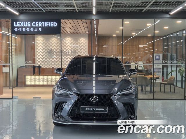 Lexus NX 2025 — photo 3