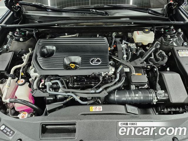 Lexus ES 2023 — photo 19