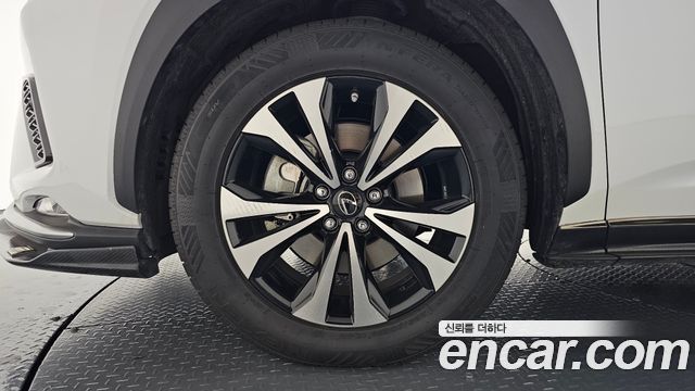Lexus NX 2020 — photo 5