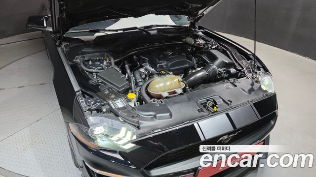 Ford Mustang 2019 — photo 6
